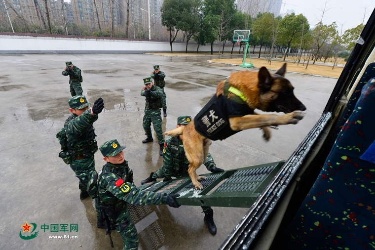 高端局射手永远只有这四个，若有一个是你的本命，你必是王者 