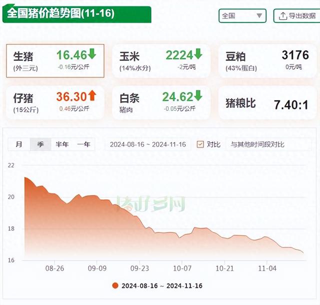 11月16日生猪价格：全线崩盘！养猪大省破8入7，猪价重心加速下移 