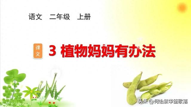 《植物妈妈有办法》仿写小诗（10首）：二年级上册 